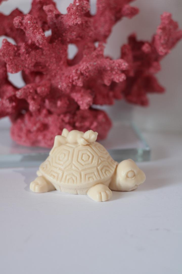 soap carving turtle, turtle soap dispenser, cast iron soap dish, turtle soap dish, soap2day to, soaptoday, soap flowers, bathroom set soap dispenser, Set Soap, hotels turtle bay hawaii, turtle bay resort, sea turtle, turtle beach turtle beach, turtle beach, turtles, soap 2 day, chocolate turtle candy, turtles chocolate candy, turtle chocolate candy, island of turtles, turtle island, turtle shape