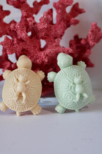 soap carving turtle, turtle soap dispenser, cast iron soap dish, turtle soap dish, soap2day to, soaptoday, soap flowers, bathroom set soap dispenser, Set Soap, hotels turtle bay hawaii, turtle bay resort, sea turtle, turtle beach turtle beach, turtle beach, turtles, soap 2 day, chocolate turtle candy, turtles chocolate candy, turtle chocolate candy, island of turtles, turtle island, turtle shape